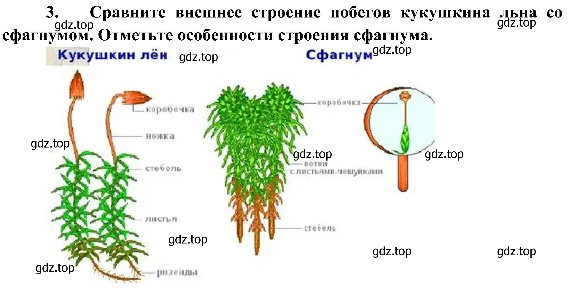 Решение номер 3 (страница 27) гдз по биологии 7 класс Пономарева, Корнилова, учебник