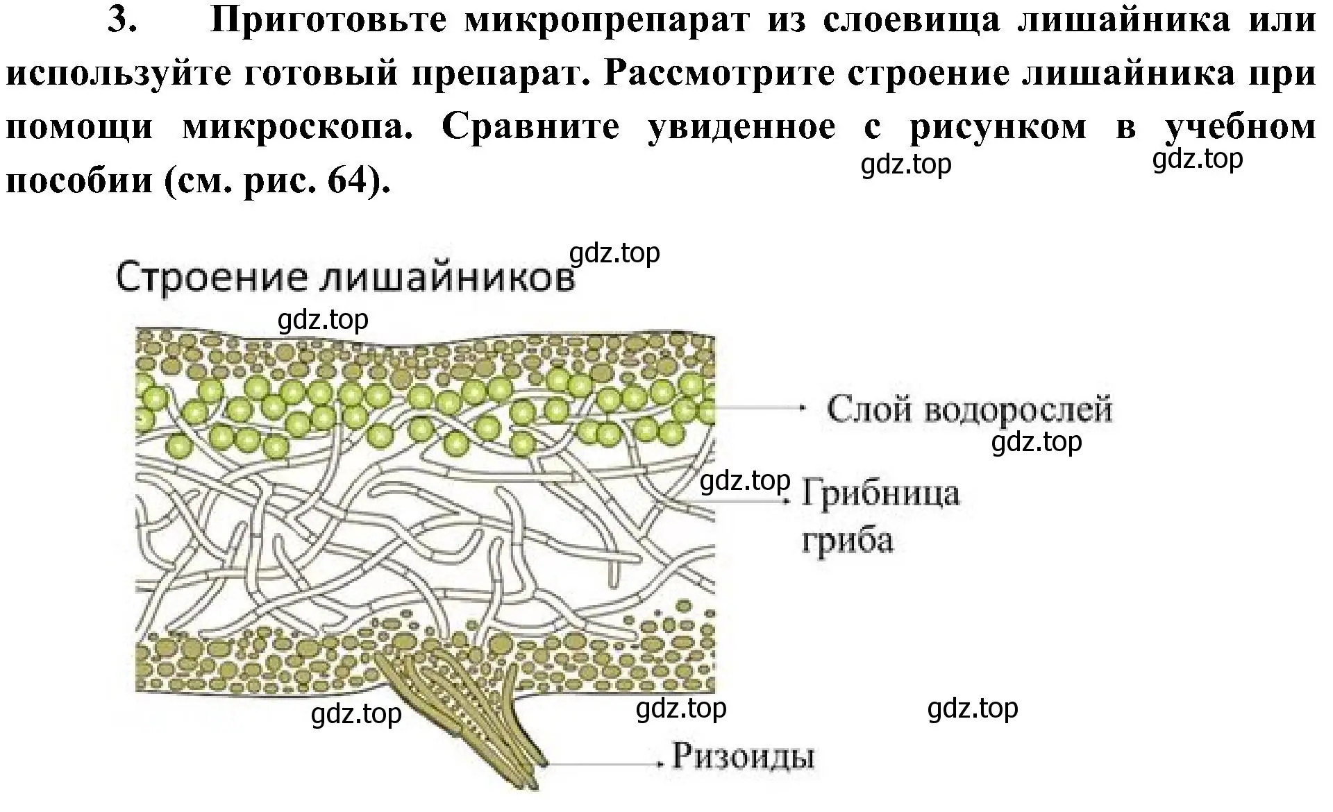 Решение номер 3 (страница 158) гдз по биологии 7 класс Пономарева, Корнилова, учебник