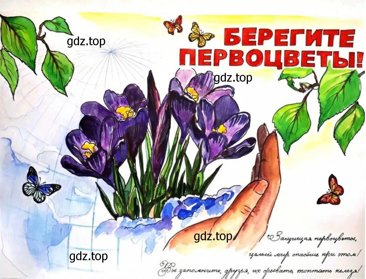 Плакат или рисунок в защиту раннецветущих растений вашего региона