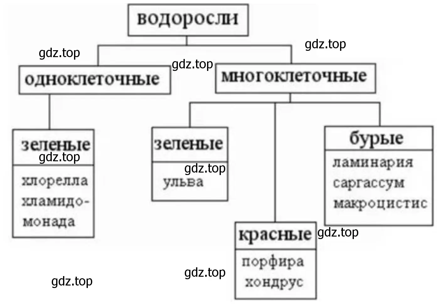 Выразить основную информацию параграфа в виде краткой записи или схемы