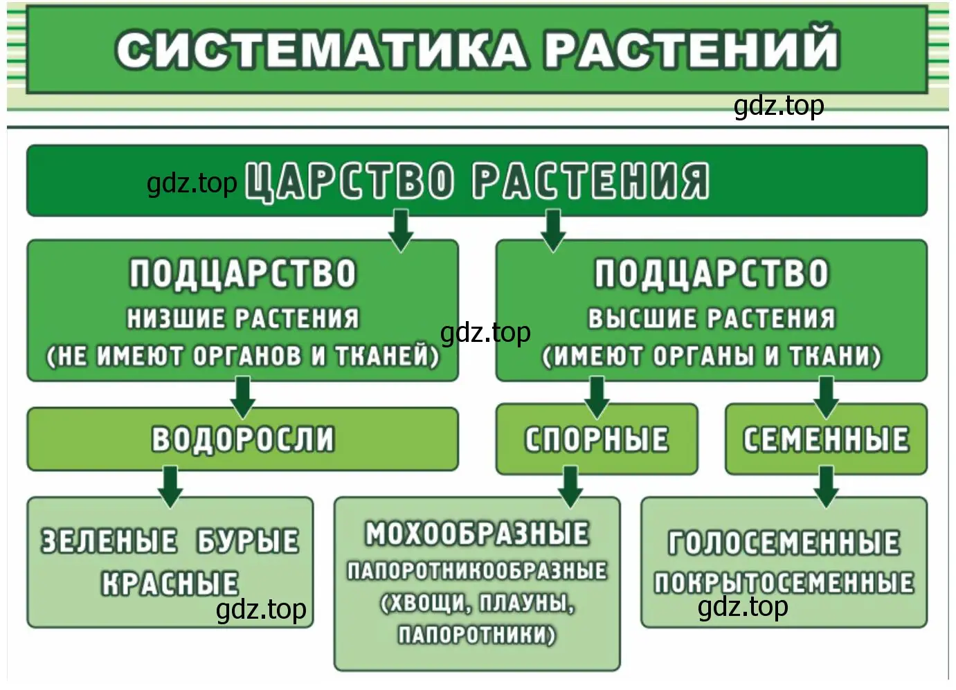 Выразить основную информацию параграфа в виде краткой записи или схемы. Систематика растений.