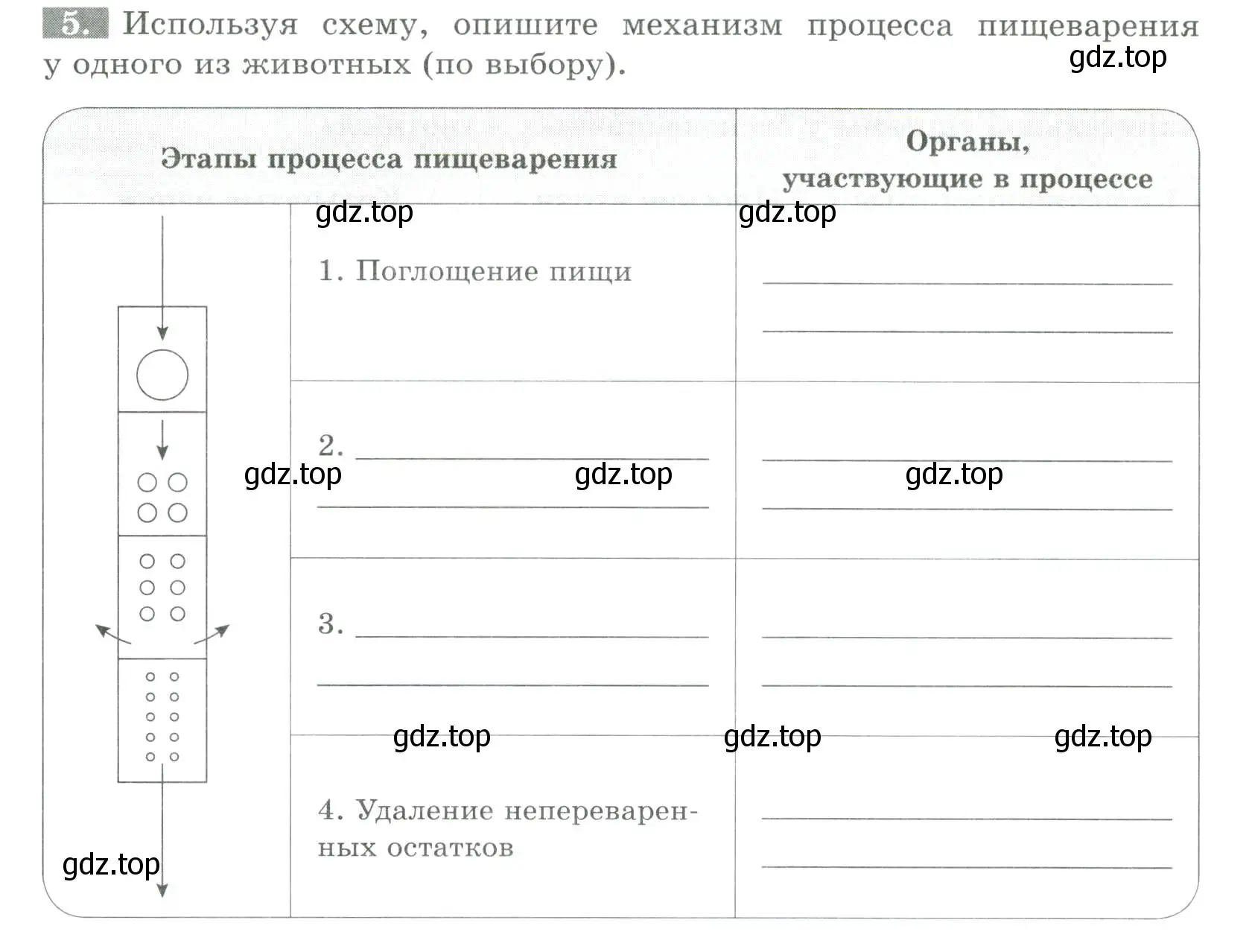 Условие номер 5 (страница 22) гдз по биологии 8 класс Суматохин, Пасечник, рабочая тетрадь