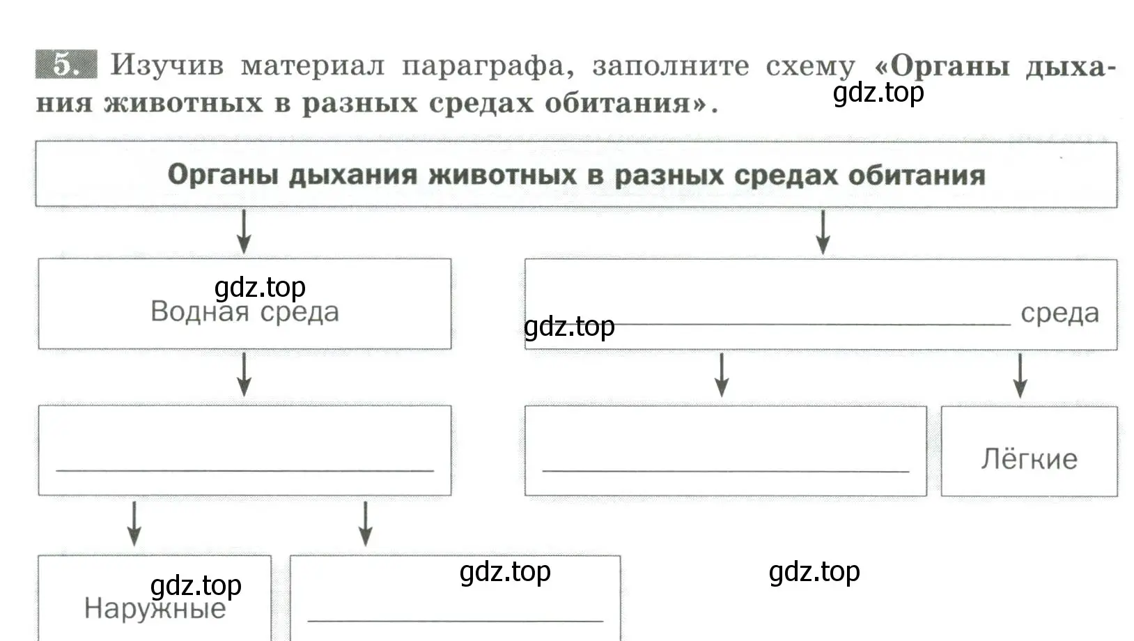 Условие номер 5 (страница 24) гдз по биологии 8 класс Суматохин, Пасечник, рабочая тетрадь