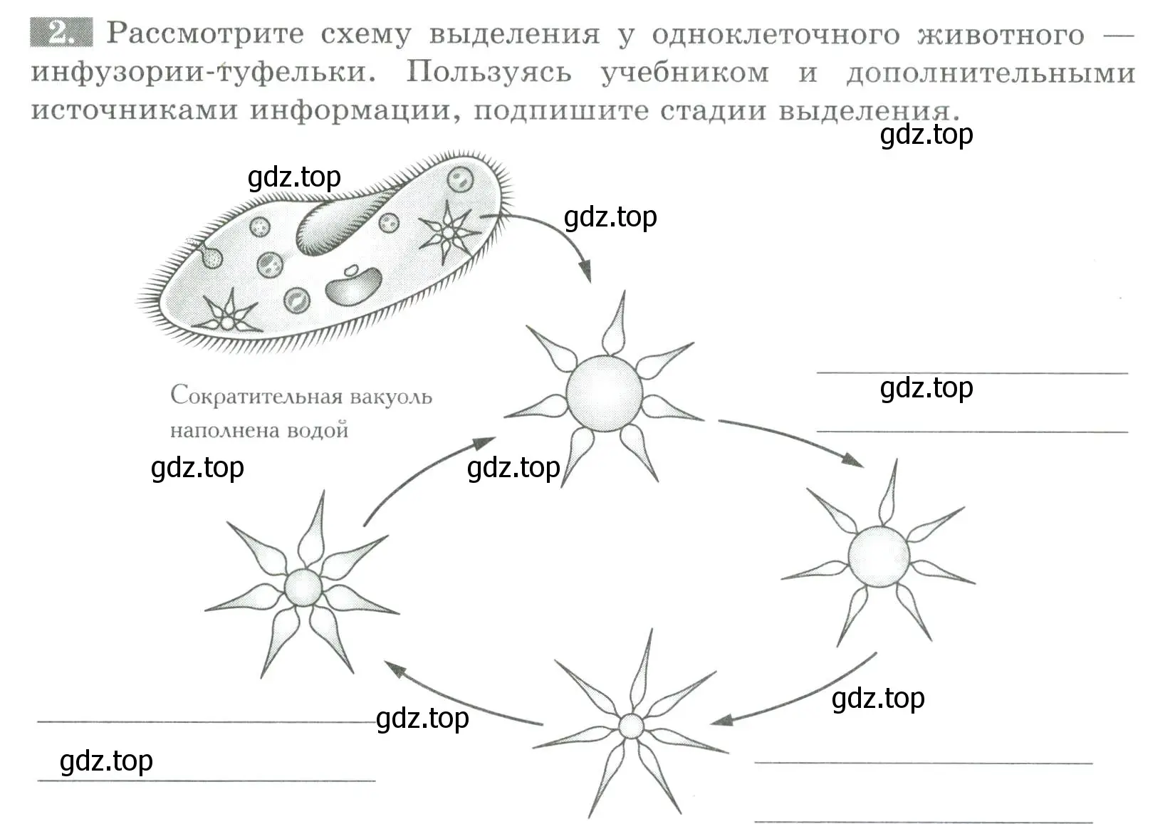 Условие номер 2 (страница 27) гдз по биологии 8 класс Суматохин, Пасечник, рабочая тетрадь