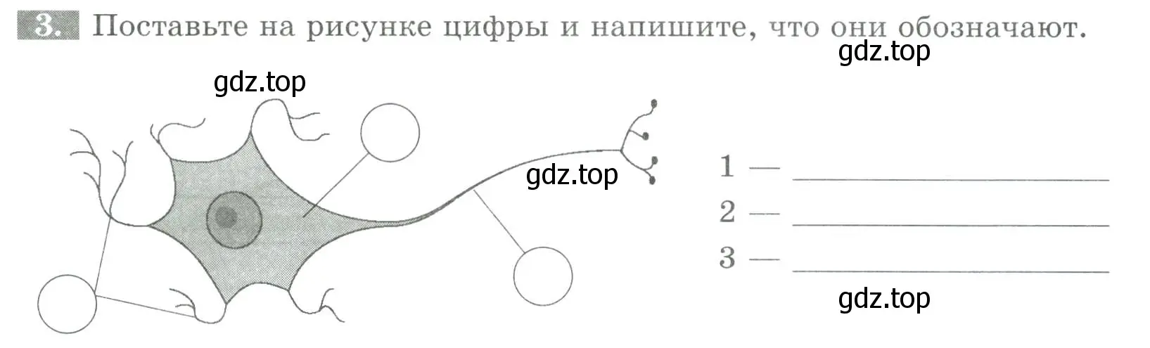 Условие номер 3 (страница 31) гдз по биологии 8 класс Суматохин, Пасечник, рабочая тетрадь