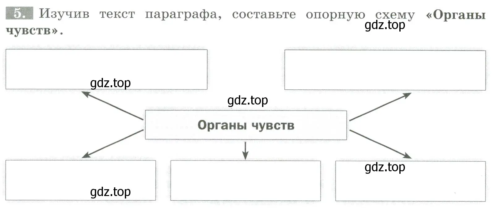 Условие номер 5 (страница 32) гдз по биологии 8 класс Суматохин, Пасечник, рабочая тетрадь