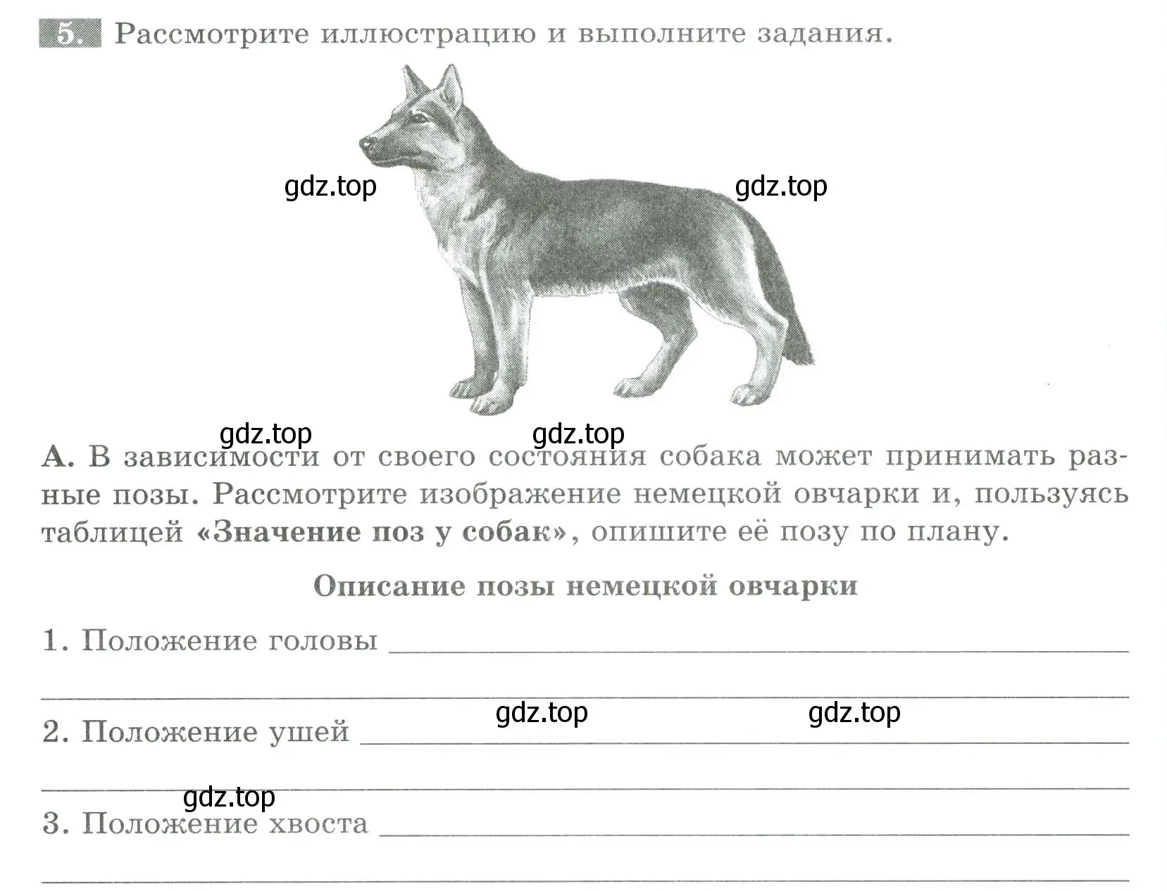 Условие номер 5 (страница 34) гдз по биологии 8 класс Суматохин, Пасечник, рабочая тетрадь