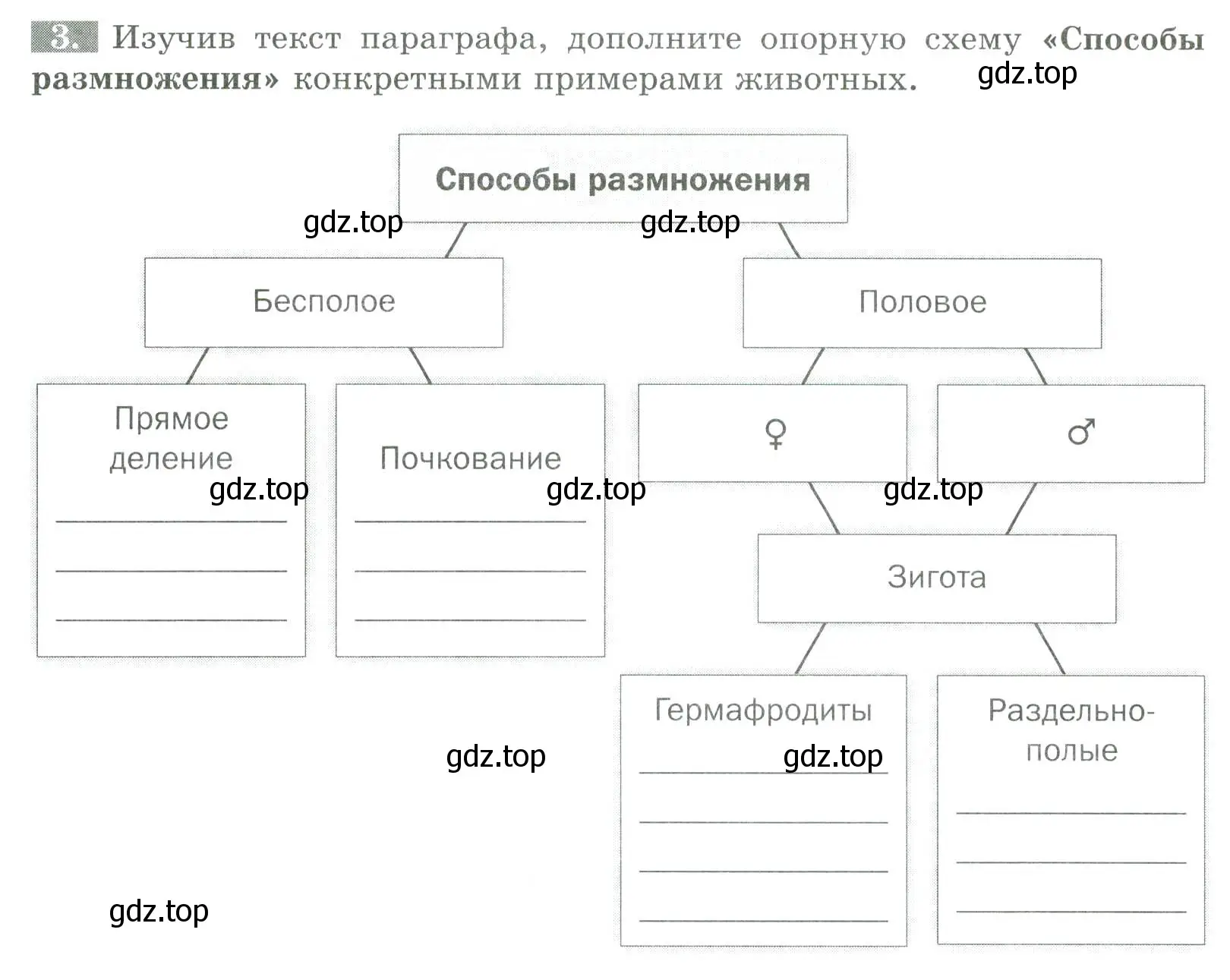 Условие номер 3 (страница 38) гдз по биологии 8 класс Суматохин, Пасечник, рабочая тетрадь