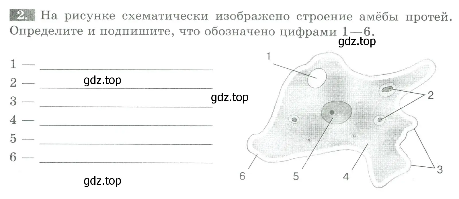 Условие номер 2 (страница 46) гдз по биологии 8 класс Суматохин, Пасечник, рабочая тетрадь