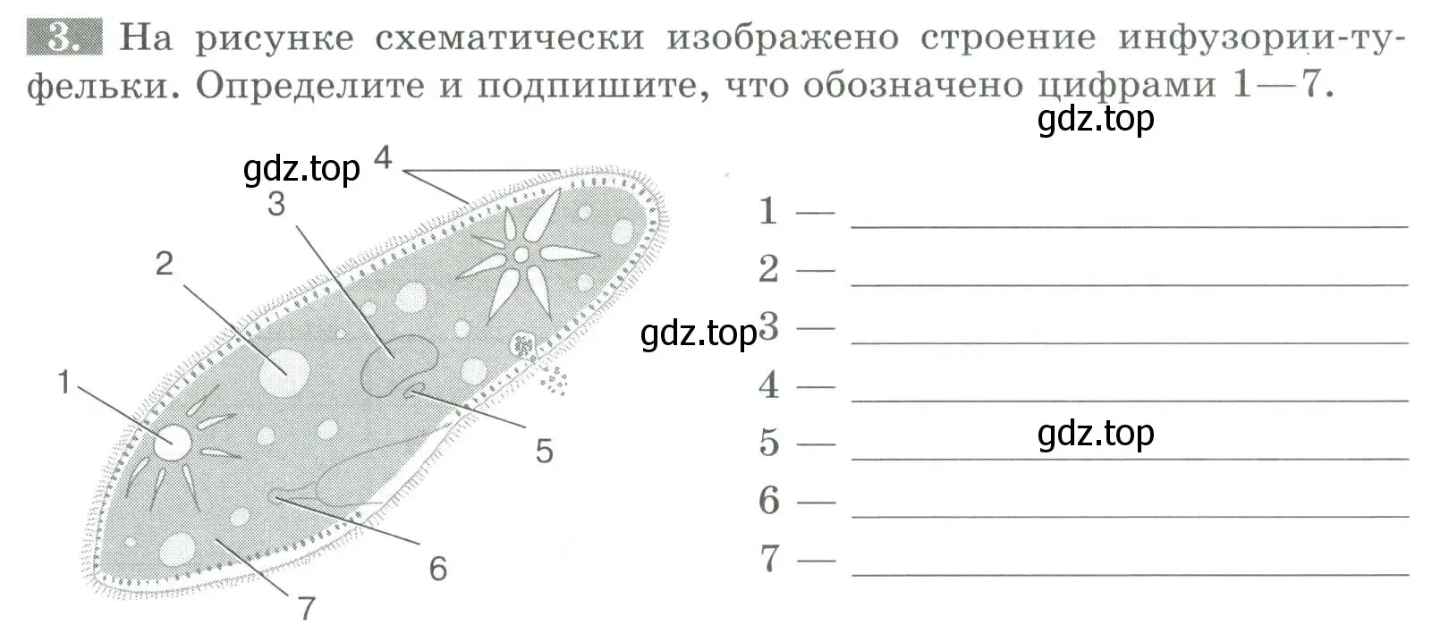 Условие номер 3 (страница 49) гдз по биологии 8 класс Суматохин, Пасечник, рабочая тетрадь