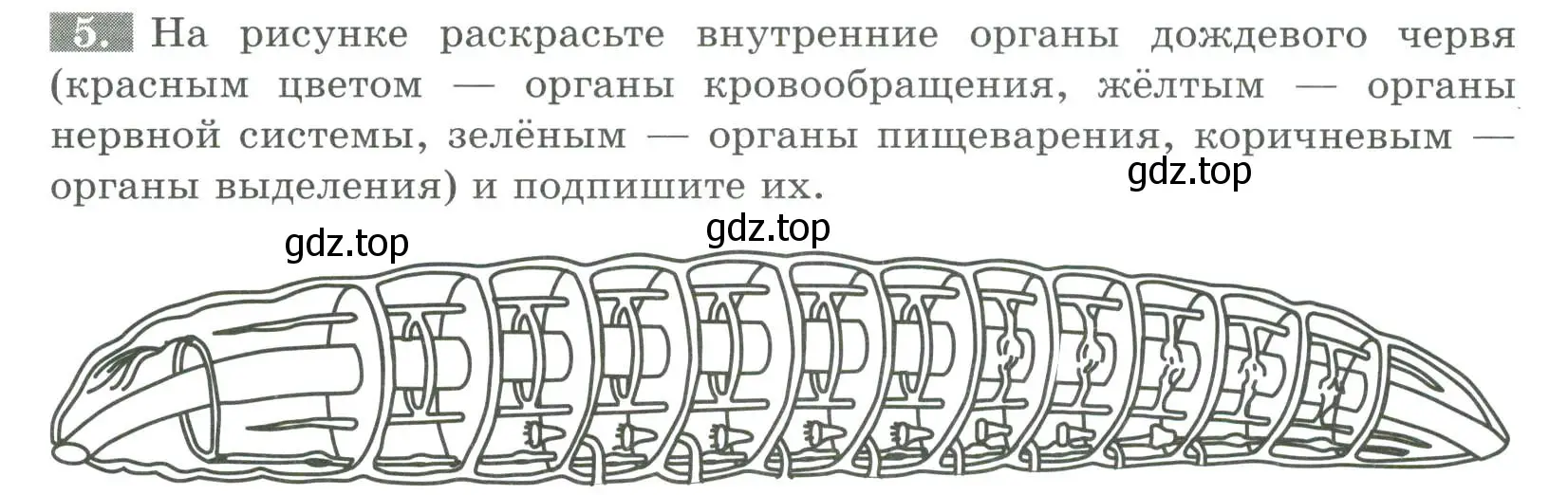 Условие номер 5 (страница 69) гдз по биологии 8 класс Суматохин, Пасечник, рабочая тетрадь