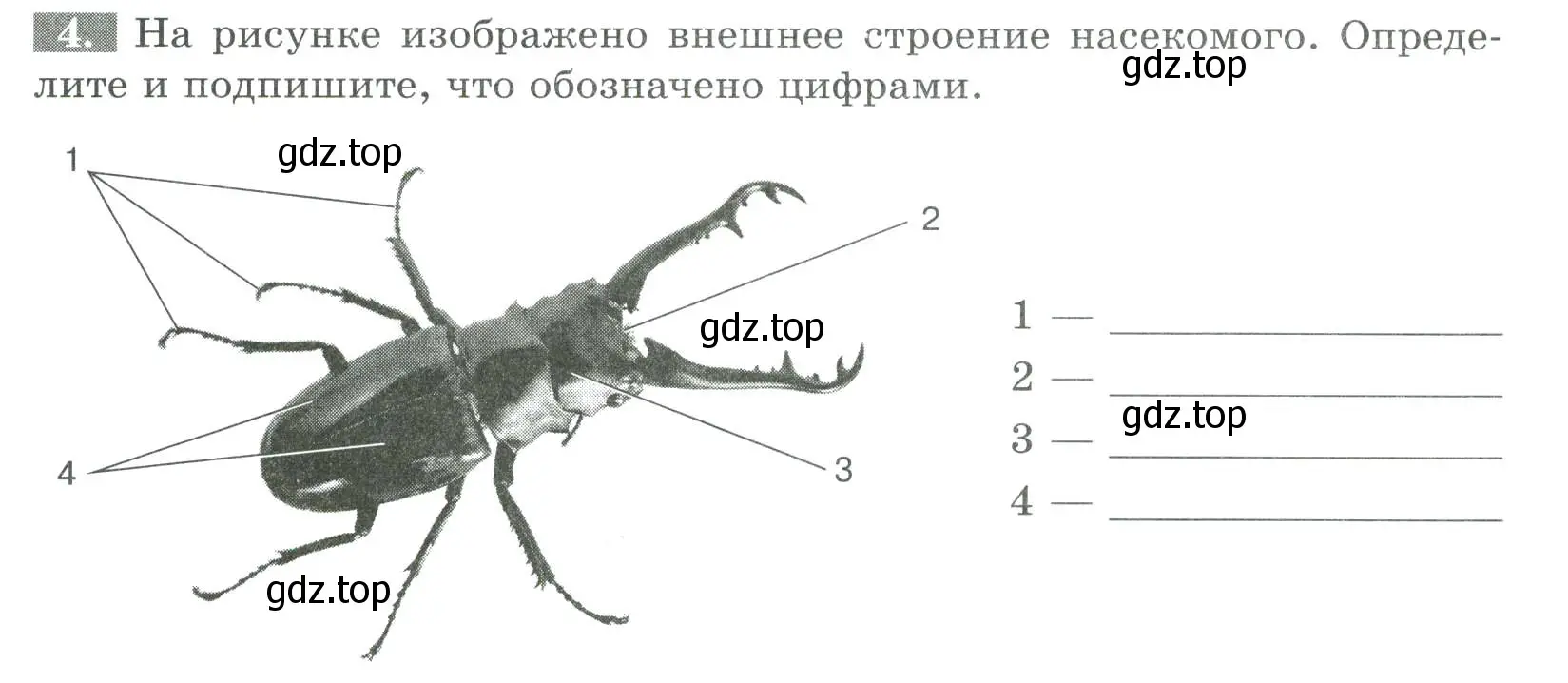 Условие номер 4 (страница 71) гдз по биологии 8 класс Суматохин, Пасечник, рабочая тетрадь