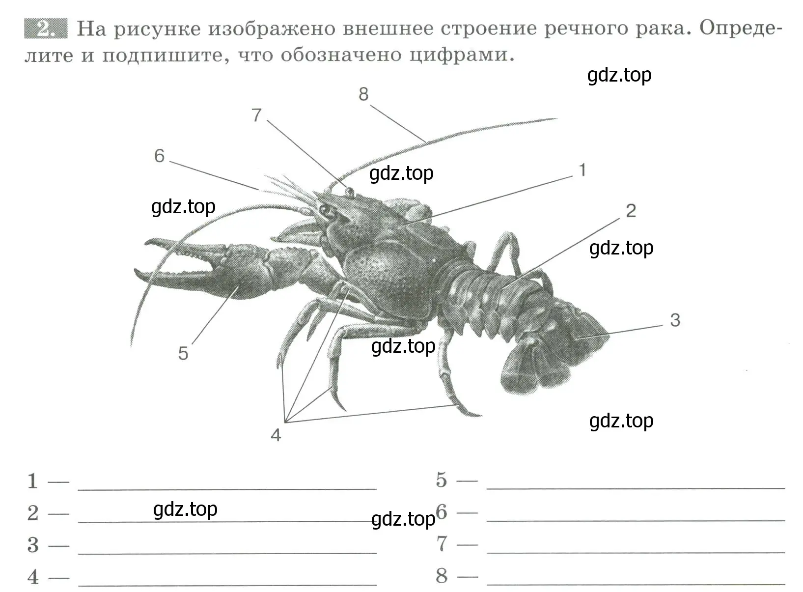 Условие номер 2 (страница 72) гдз по биологии 8 класс Суматохин, Пасечник, рабочая тетрадь