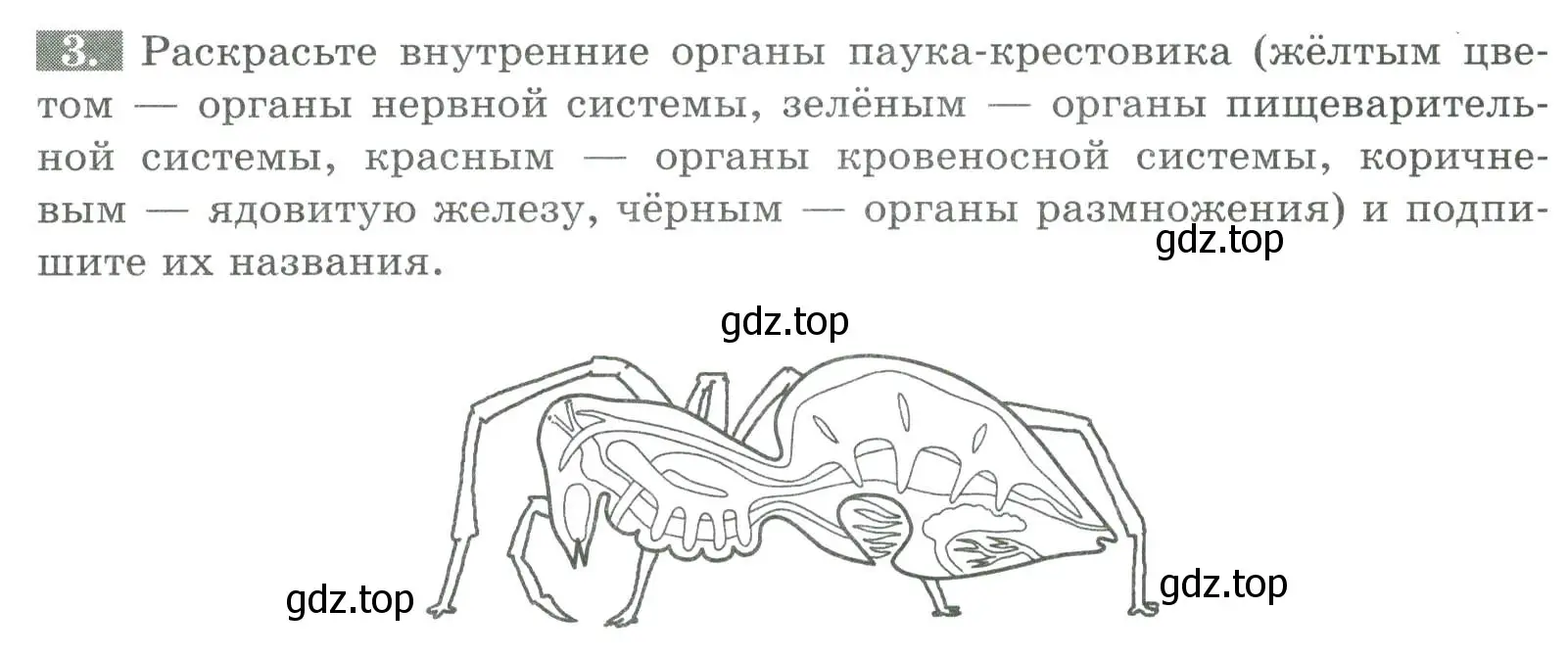 Условие номер 3 (страница 74) гдз по биологии 8 класс Суматохин, Пасечник, рабочая тетрадь