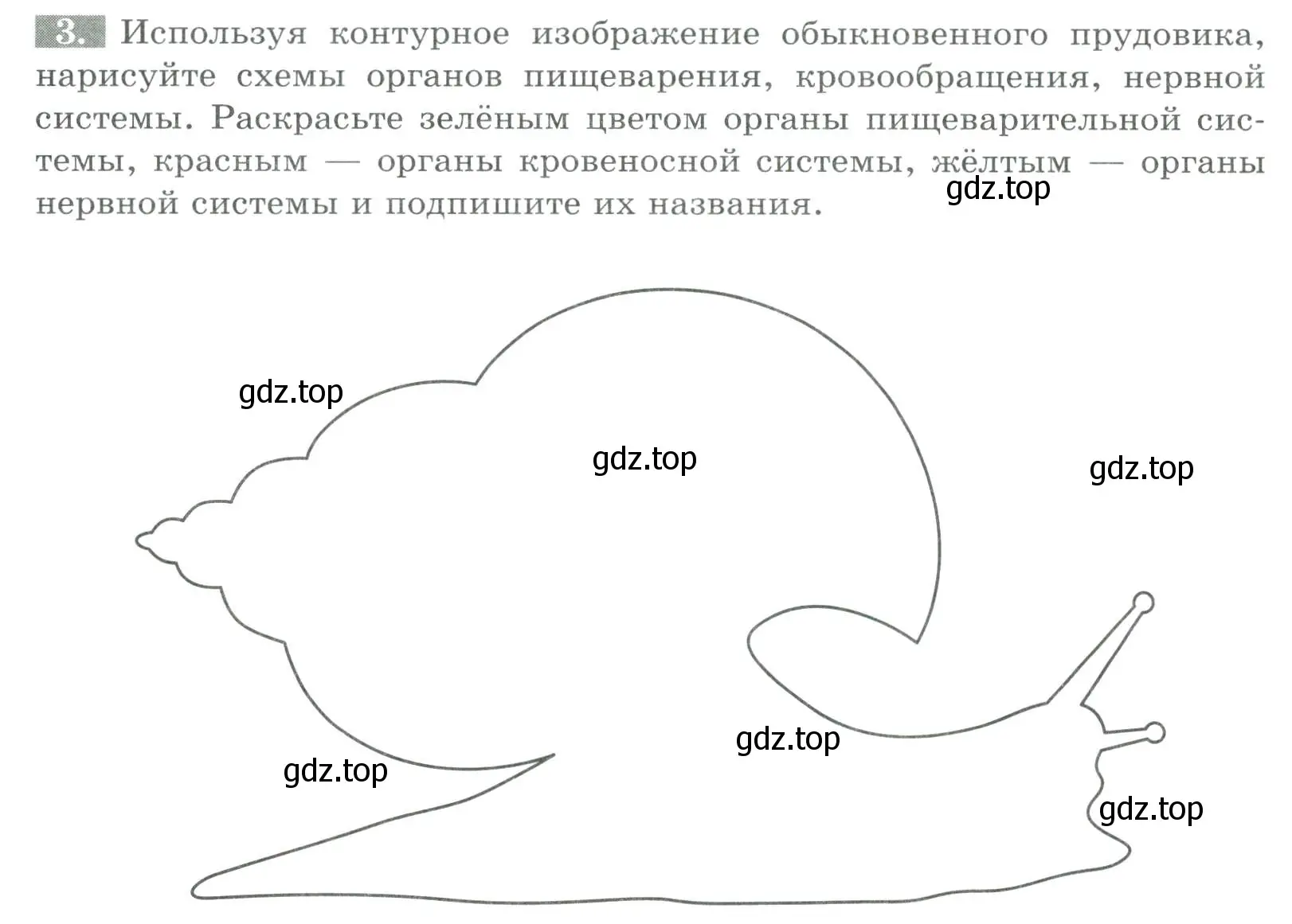 Условие номер 3 (страница 82) гдз по биологии 8 класс Суматохин, Пасечник, рабочая тетрадь