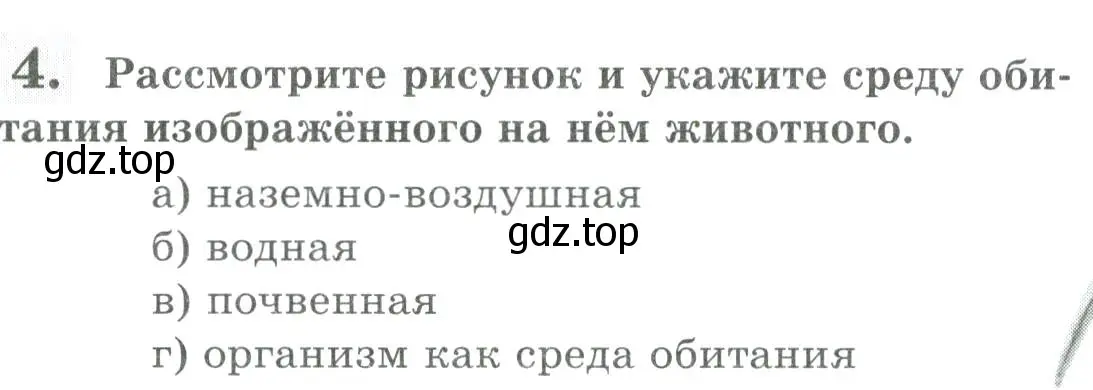 Условие номер 4 (страница 86) гдз по биологии 8 класс Суматохин, Пасечник, рабочая тетрадь