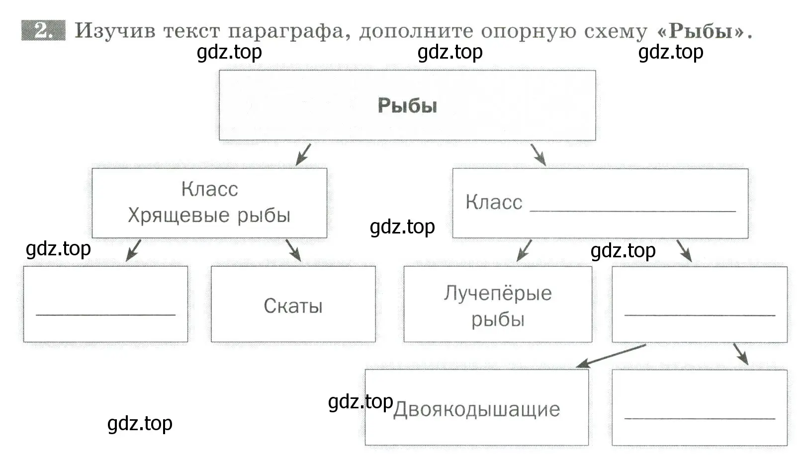 Условие номер 2 (страница 98) гдз по биологии 8 класс Суматохин, Пасечник, рабочая тетрадь