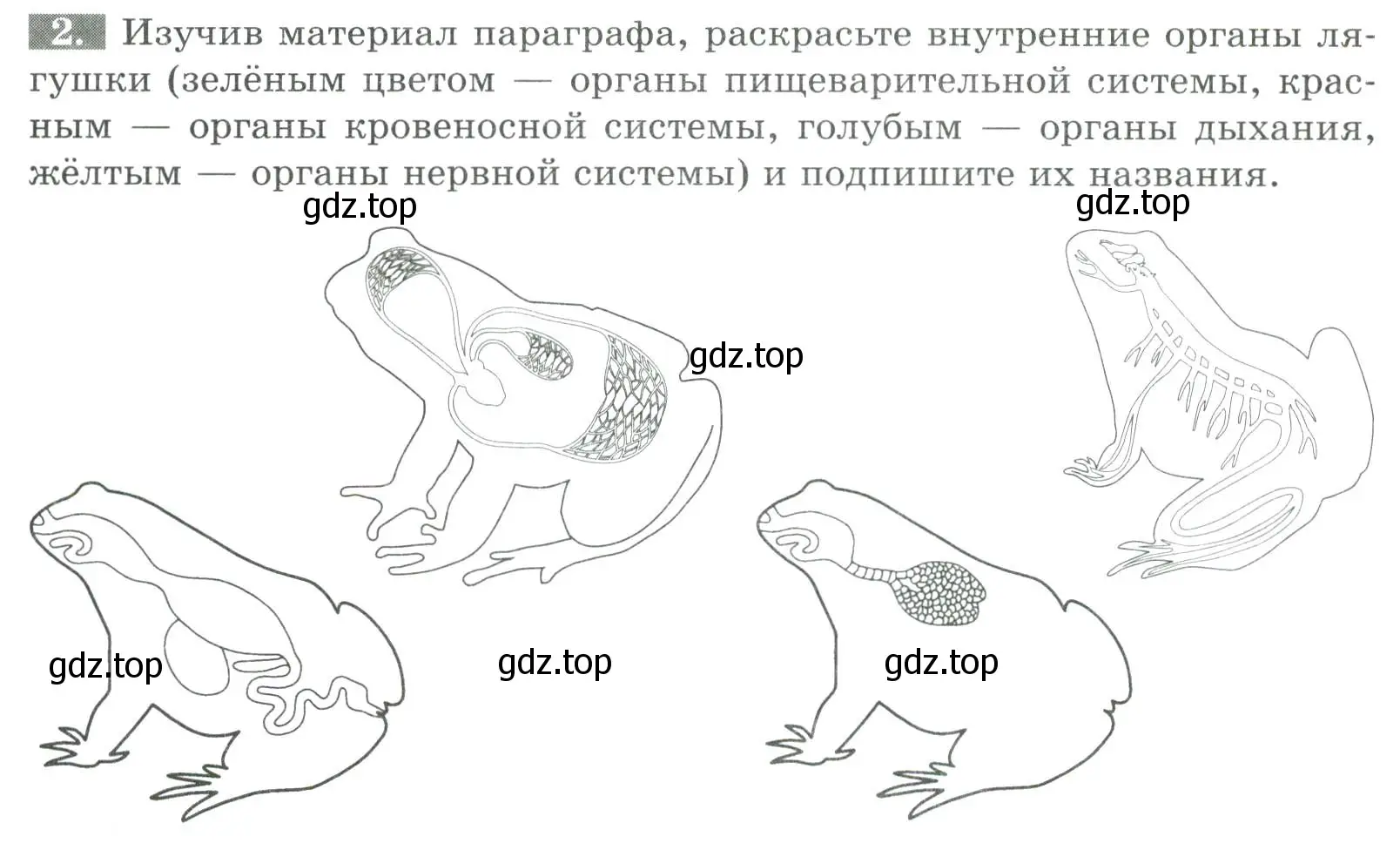 Условие номер 2 (страница 102) гдз по биологии 8 класс Суматохин, Пасечник, рабочая тетрадь