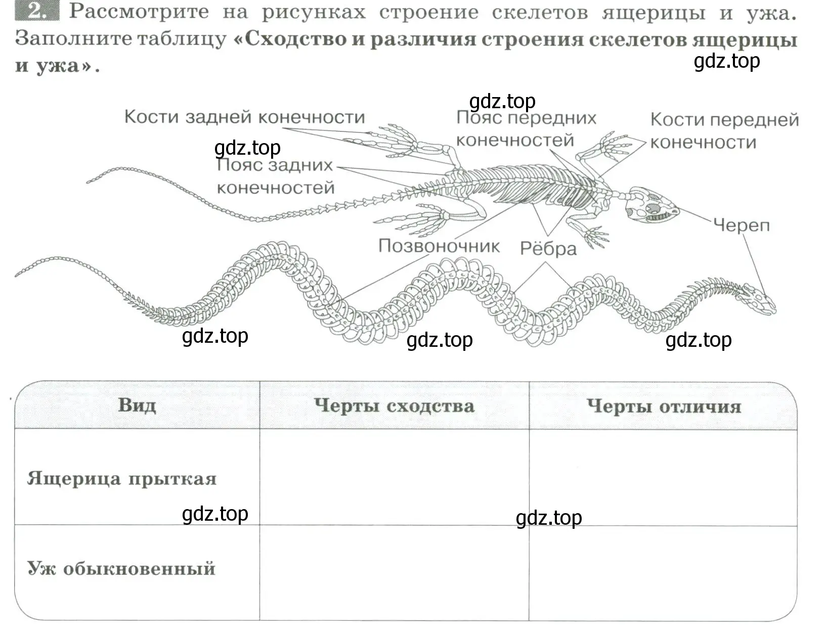 Условие номер 2 (страница 108) гдз по биологии 8 класс Суматохин, Пасечник, рабочая тетрадь