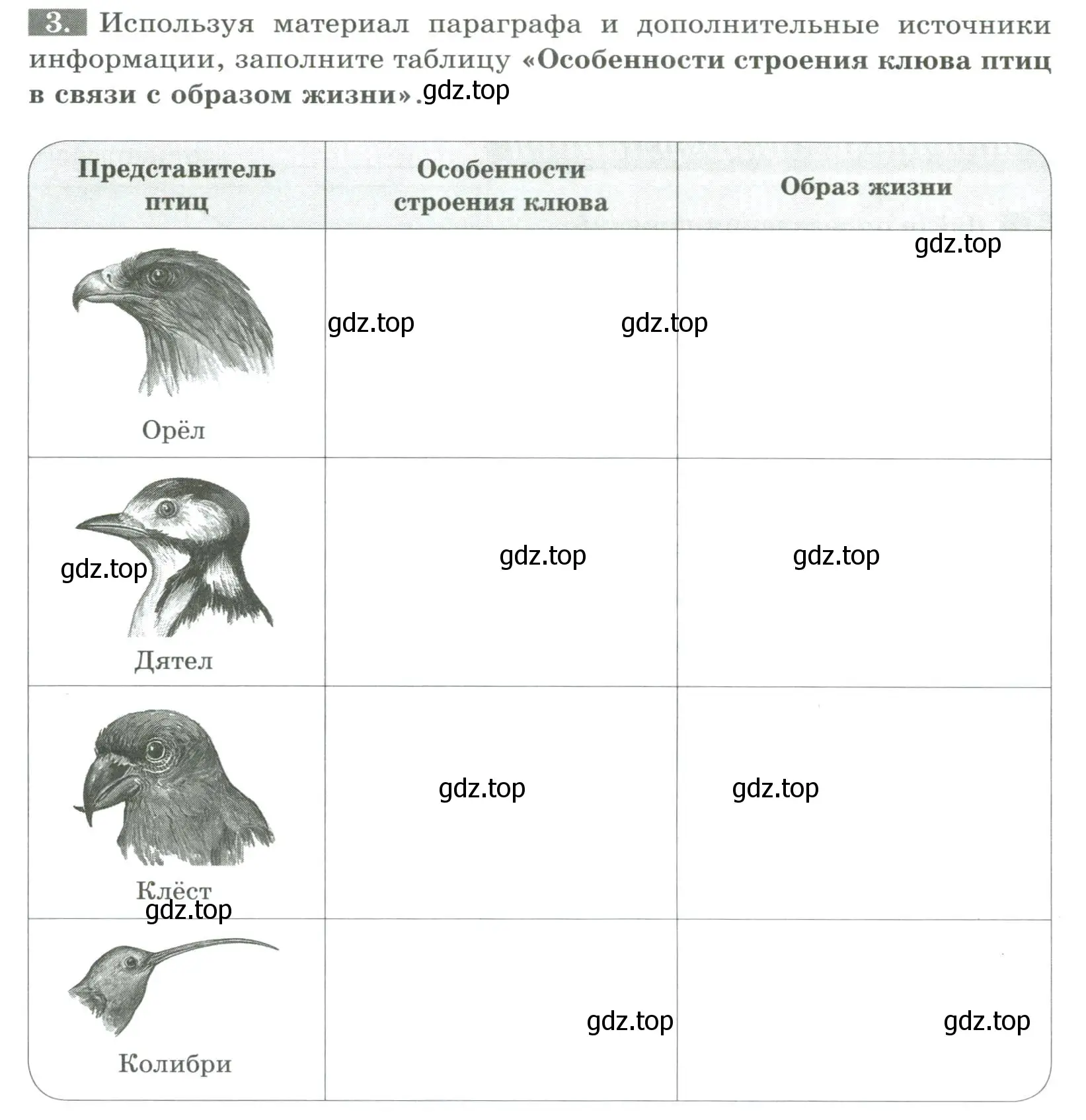 Условие номер 3 (страница 112) гдз по биологии 8 класс Суматохин, Пасечник, рабочая тетрадь