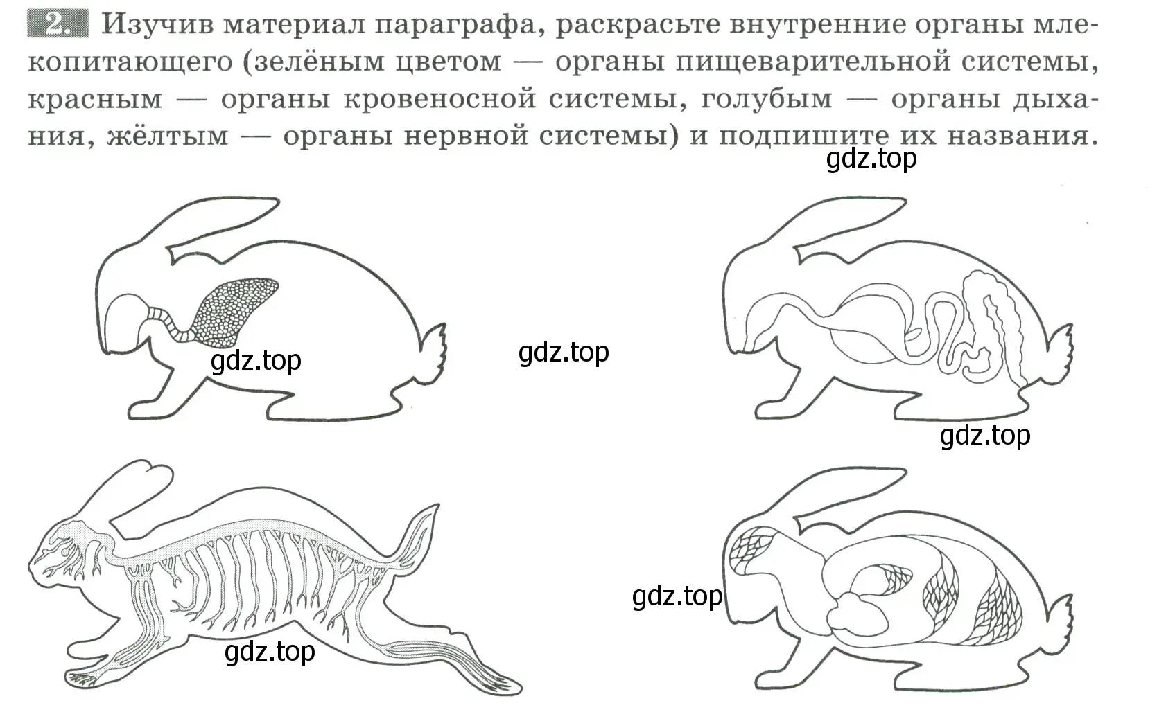 Условие номер 2 (страница 123) гдз по биологии 8 класс Суматохин, Пасечник, рабочая тетрадь