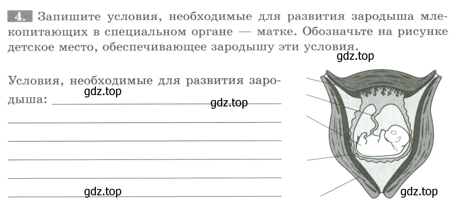 Условие номер 4 (страница 128) гдз по биологии 8 класс Суматохин, Пасечник, рабочая тетрадь