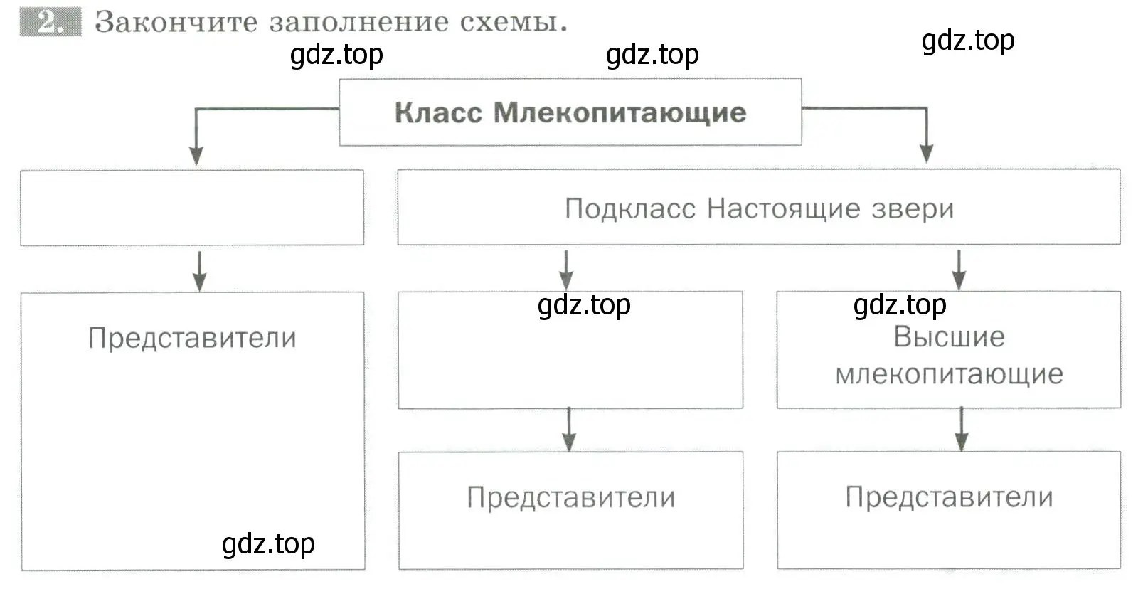 Условие номер 2 (страница 129) гдз по биологии 8 класс Суматохин, Пасечник, рабочая тетрадь