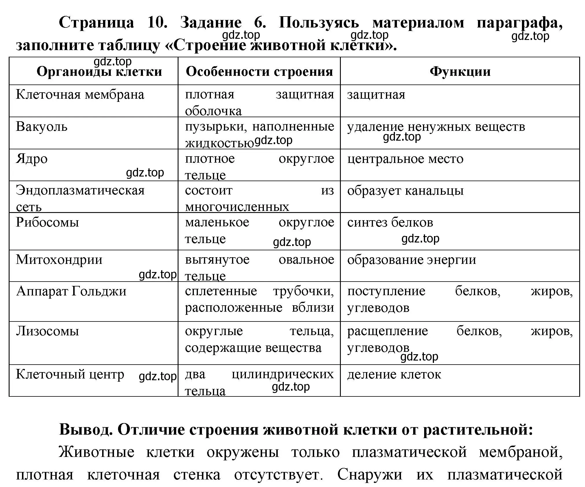 Решение номер 6 (страница 10) гдз по биологии 8 класс Суматохин, Пасечник, рабочая тетрадь