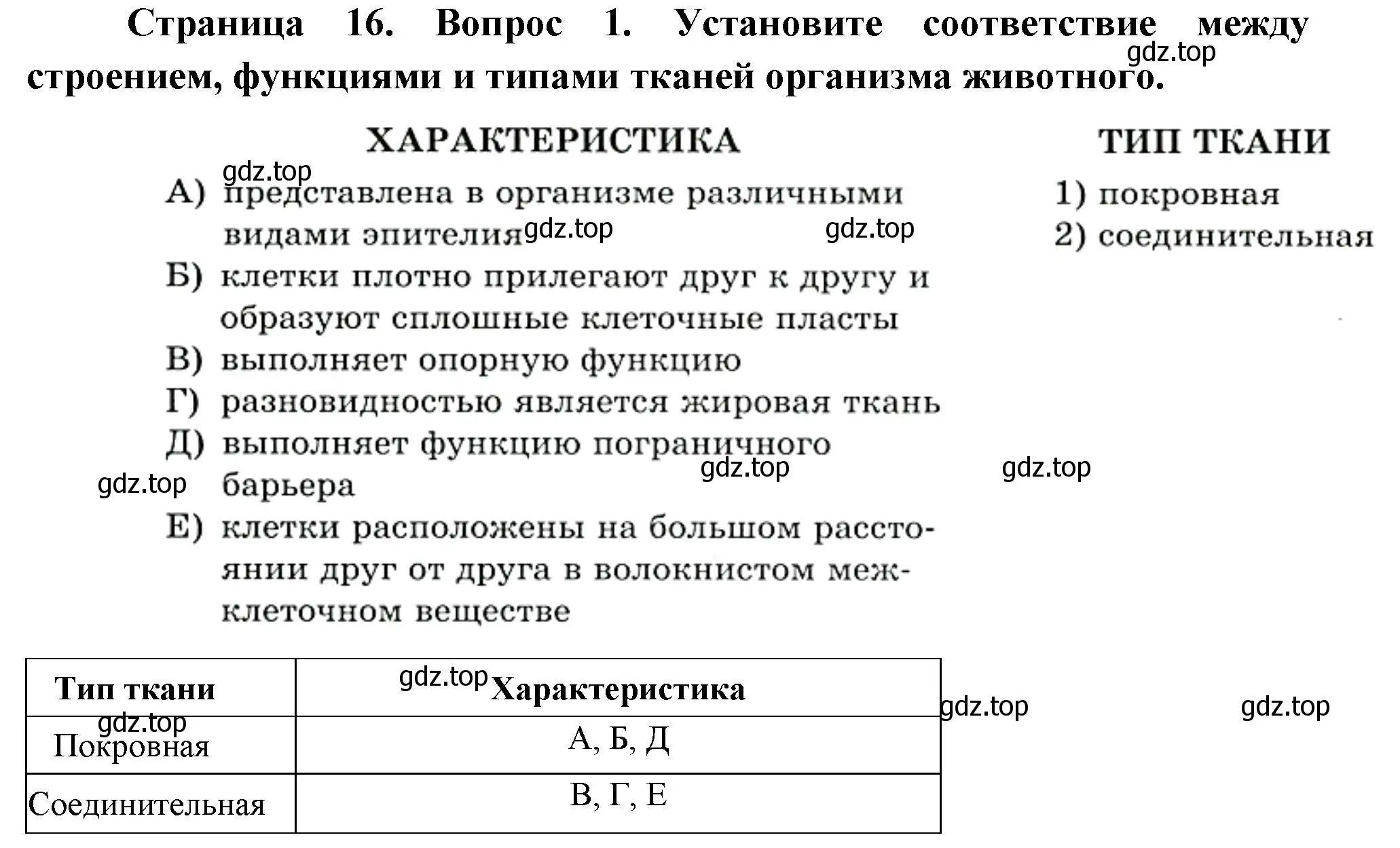 Решение номер 1 (страница 16) гдз по биологии 8 класс Суматохин, Пасечник, рабочая тетрадь