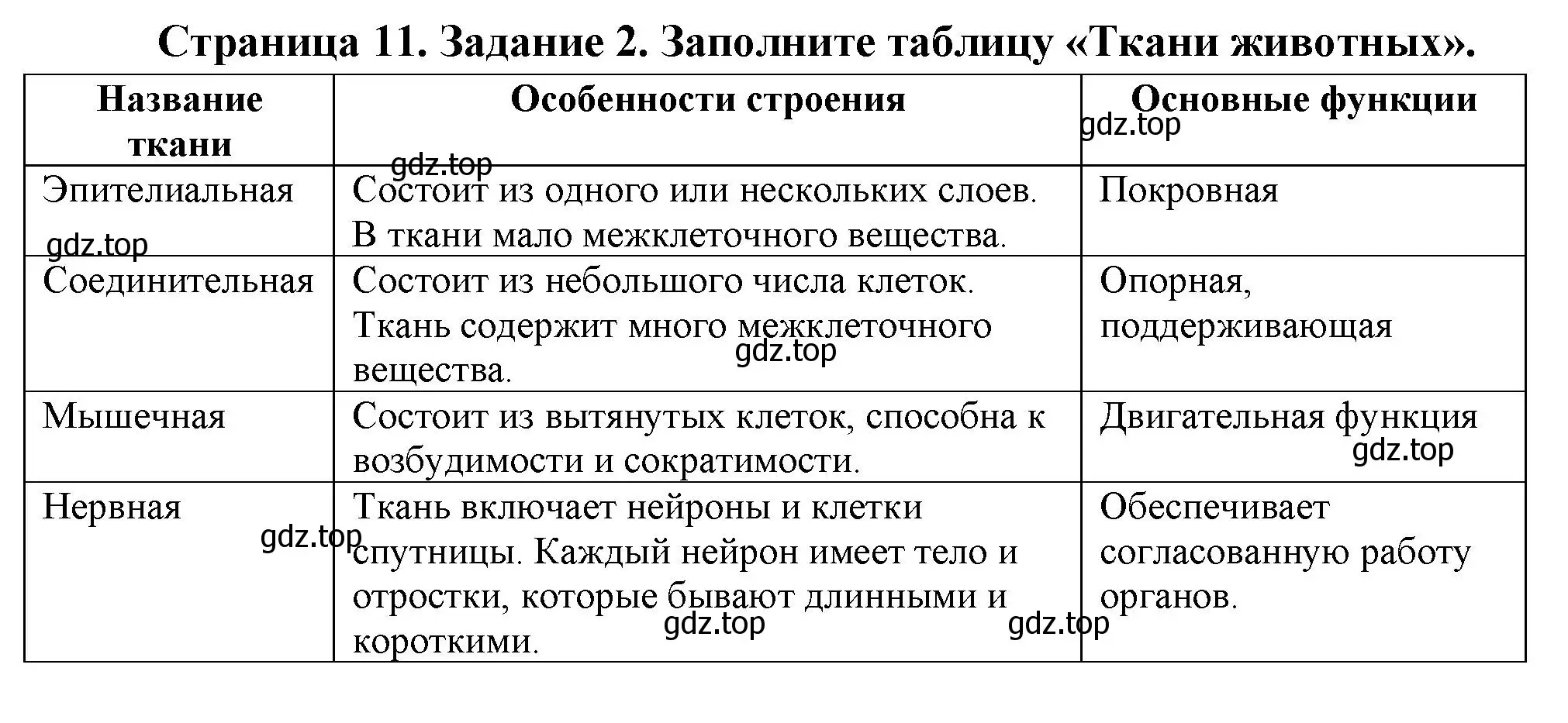 Решение номер 2 (страница 11) гдз по биологии 8 класс Суматохин, Пасечник, рабочая тетрадь