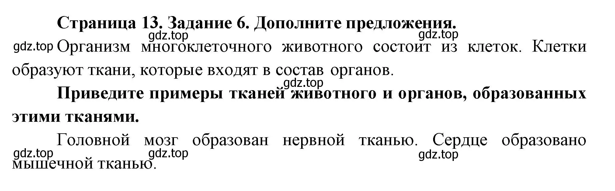 Решение номер 6 (страница 13) гдз по биологии 8 класс Суматохин, Пасечник, рабочая тетрадь