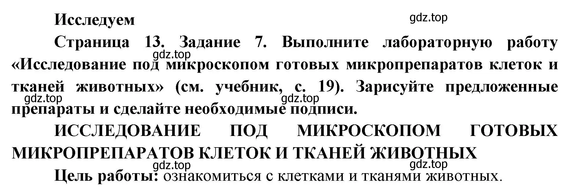 Решение номер 7 (страница 13) гдз по биологии 8 класс Суматохин, Пасечник, рабочая тетрадь