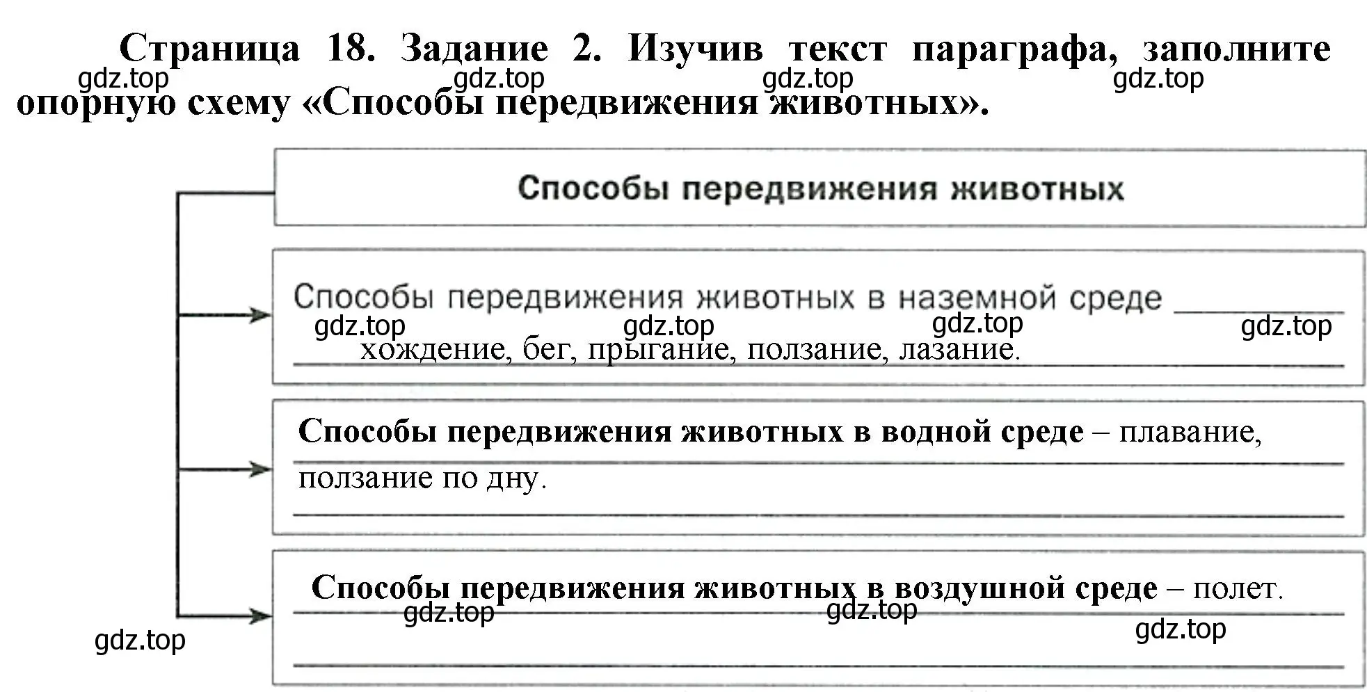 Решение номер 2 (страница 18) гдз по биологии 8 класс Суматохин, Пасечник, рабочая тетрадь