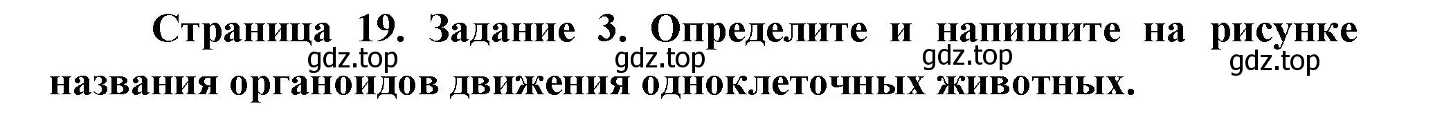 Решение номер 3 (страница 19) гдз по биологии 8 класс Суматохин, Пасечник, рабочая тетрадь