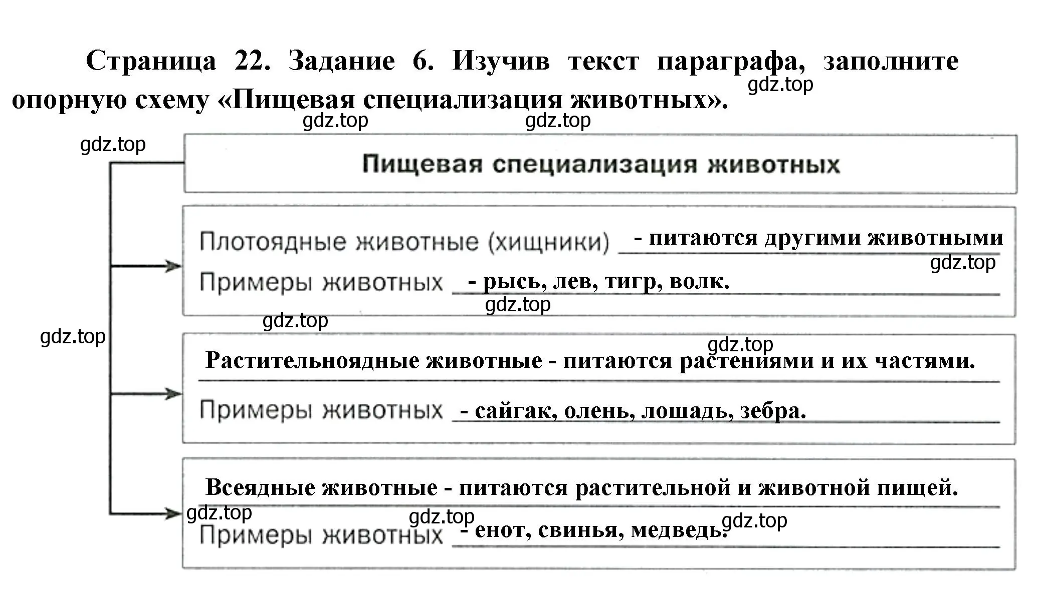 Решение номер 6 (страница 22) гдз по биологии 8 класс Суматохин, Пасечник, рабочая тетрадь