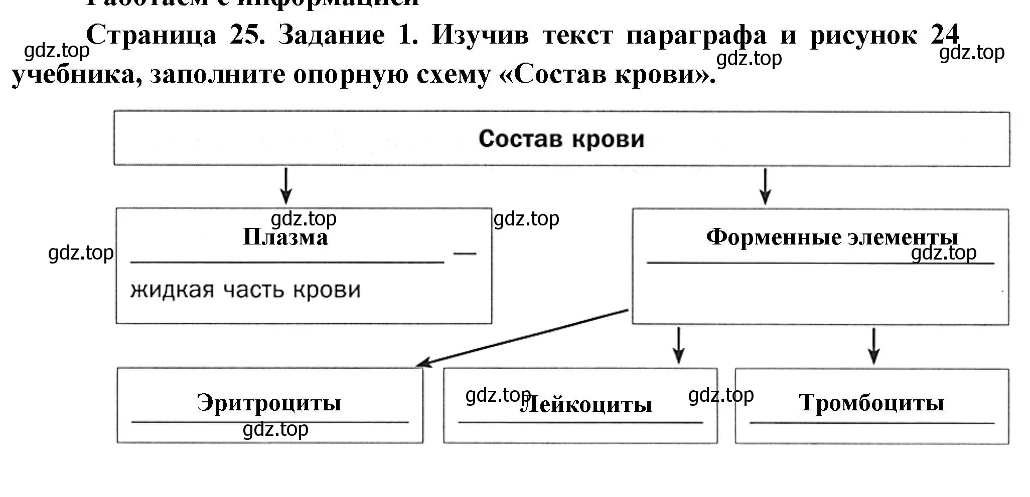 Решение номер 1 (страница 25) гдз по биологии 8 класс Суматохин, Пасечник, рабочая тетрадь