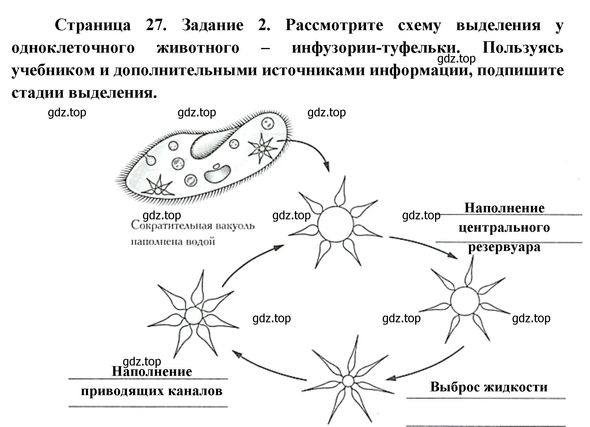 Решение номер 2 (страница 27) гдз по биологии 8 класс Суматохин, Пасечник, рабочая тетрадь