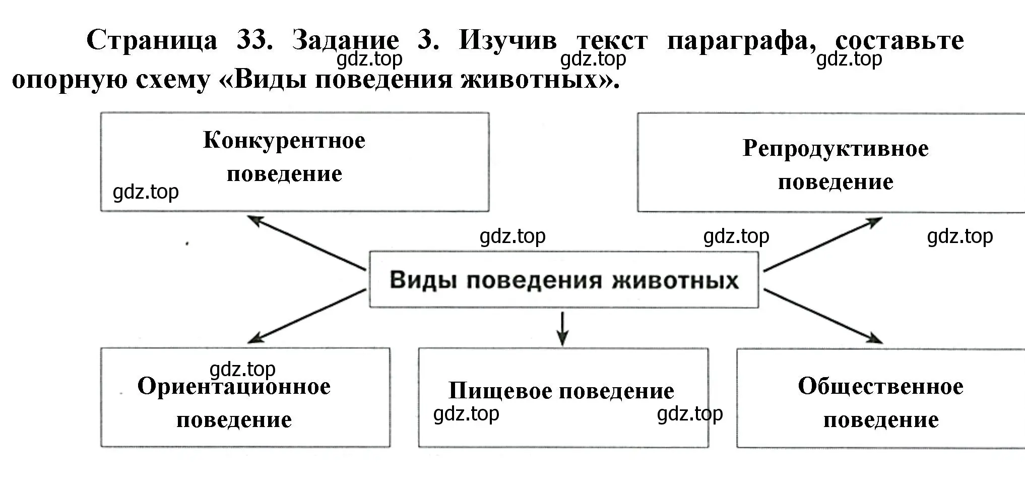 Решение номер 3 (страница 33) гдз по биологии 8 класс Суматохин, Пасечник, рабочая тетрадь