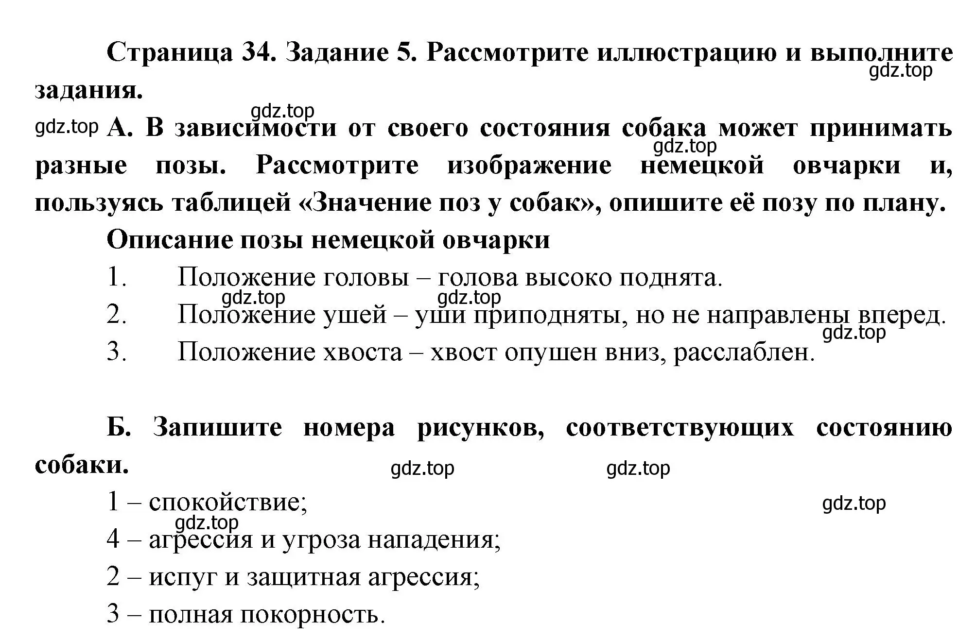 Решение номер 5 (страница 34) гдз по биологии 8 класс Суматохин, Пасечник, рабочая тетрадь