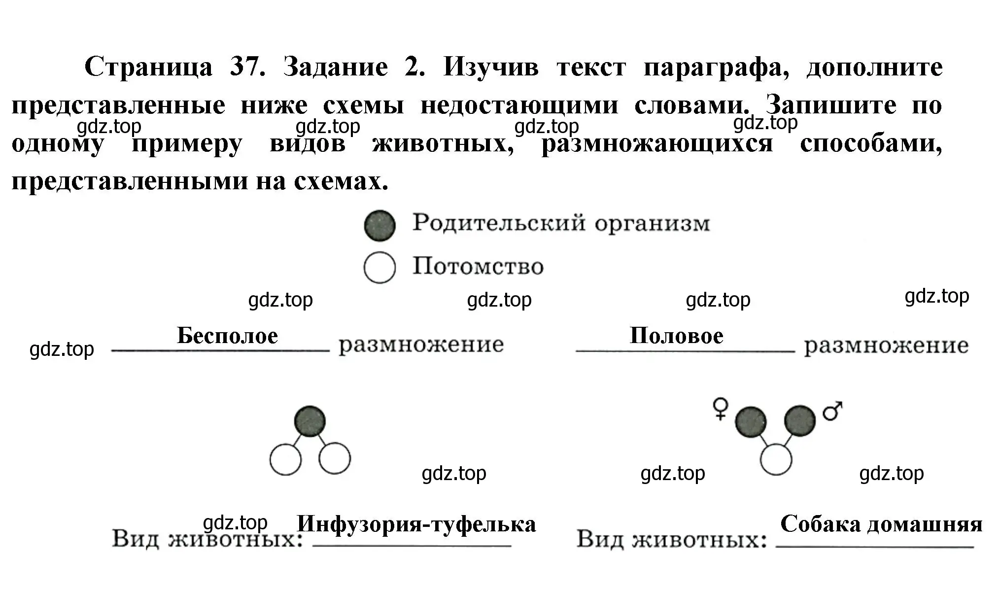 Решение номер 2 (страница 37) гдз по биологии 8 класс Суматохин, Пасечник, рабочая тетрадь