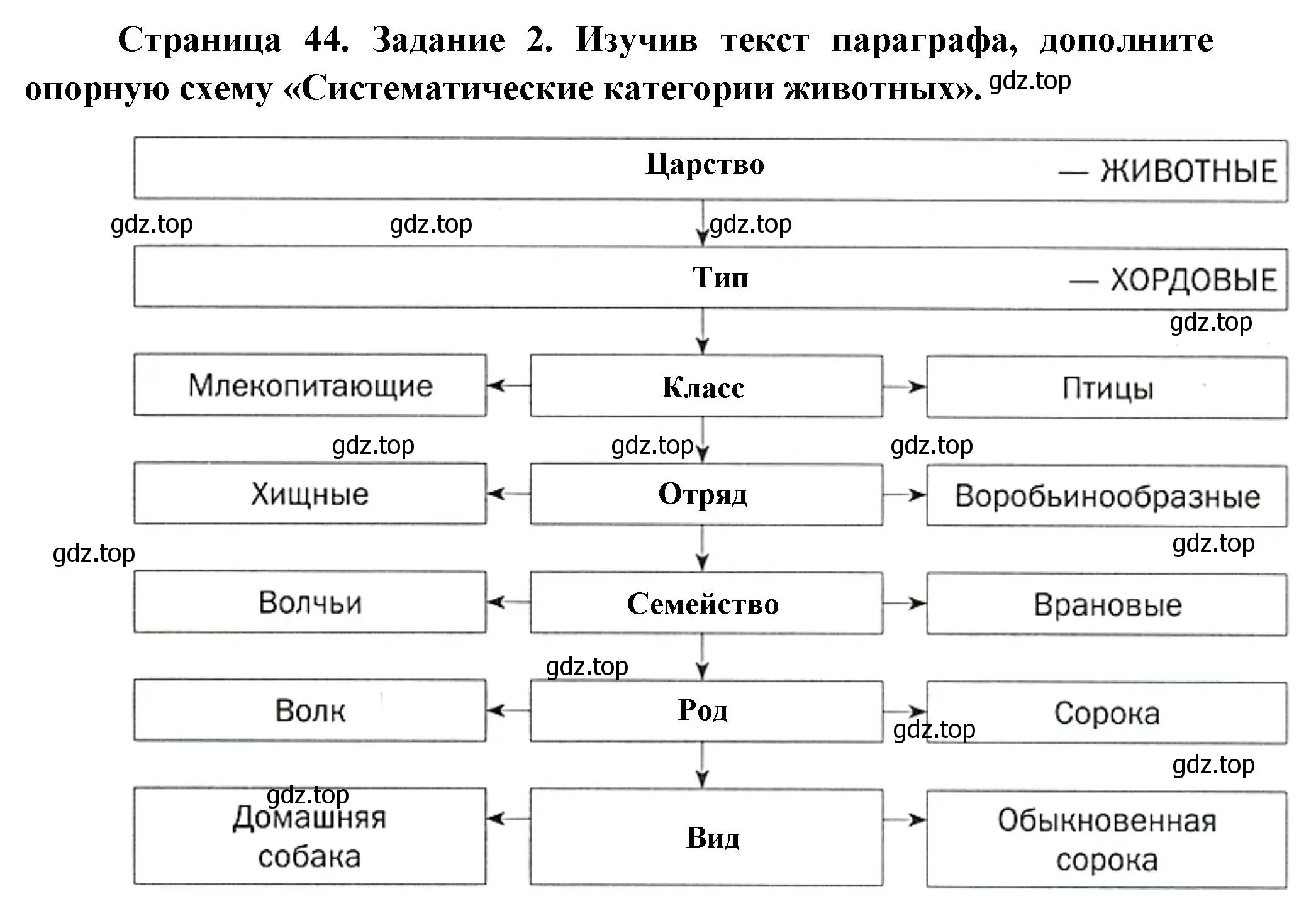 Решение номер 2 (страница 44) гдз по биологии 8 класс Суматохин, Пасечник, рабочая тетрадь