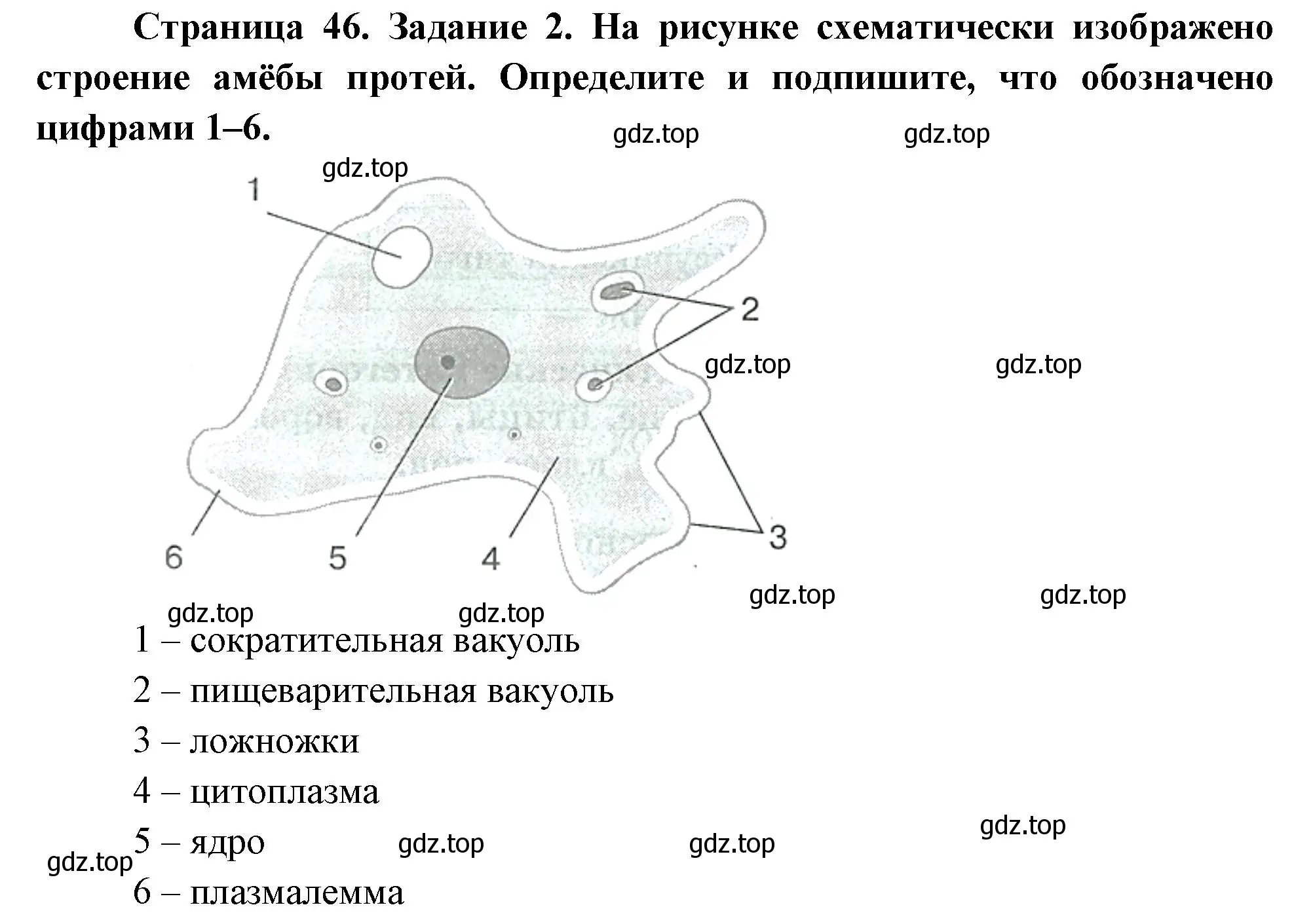 Решение номер 2 (страница 46) гдз по биологии 8 класс Суматохин, Пасечник, рабочая тетрадь