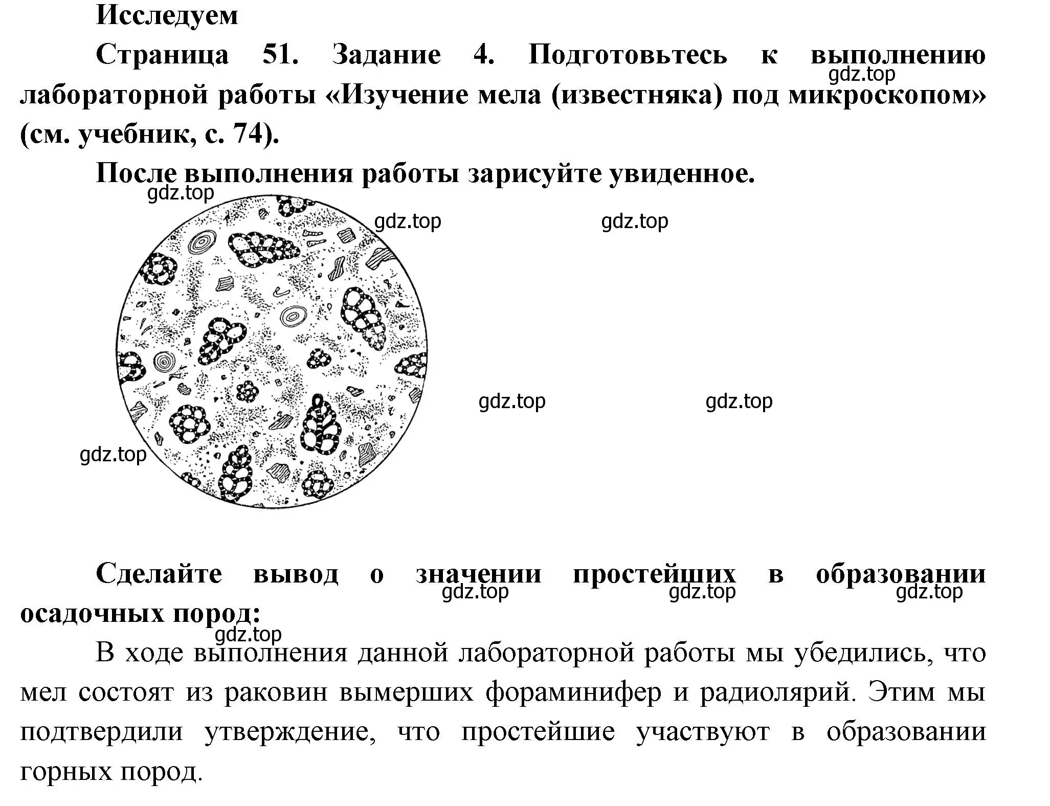 Решение номер 4 (страница 51) гдз по биологии 8 класс Суматохин, Пасечник, рабочая тетрадь