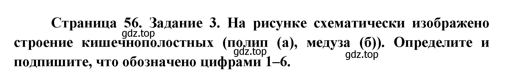 Решение номер 3 (страница 56) гдз по биологии 8 класс Суматохин, Пасечник, рабочая тетрадь