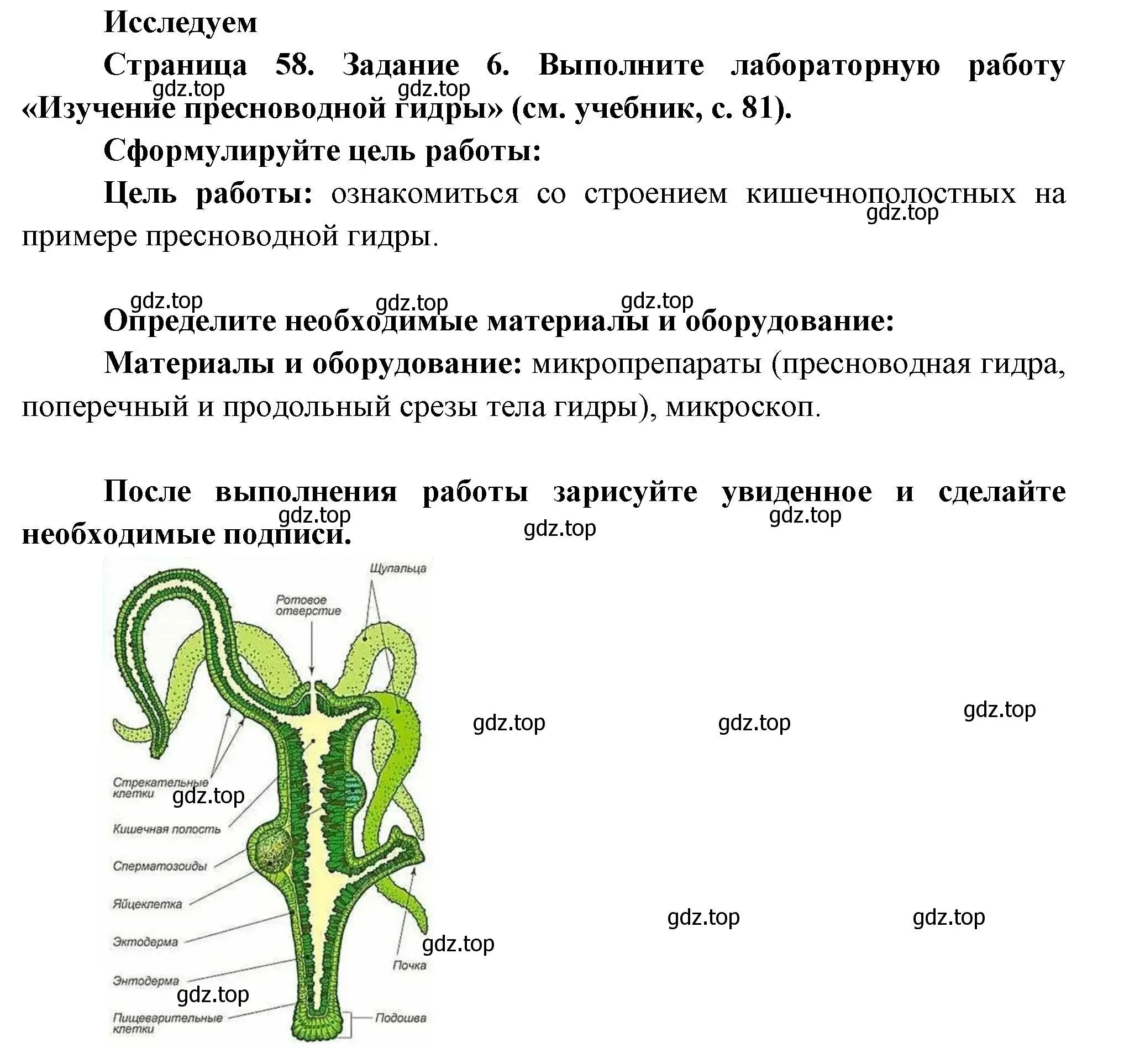 Решение номер 6 (страница 58) гдз по биологии 8 класс Суматохин, Пасечник, рабочая тетрадь