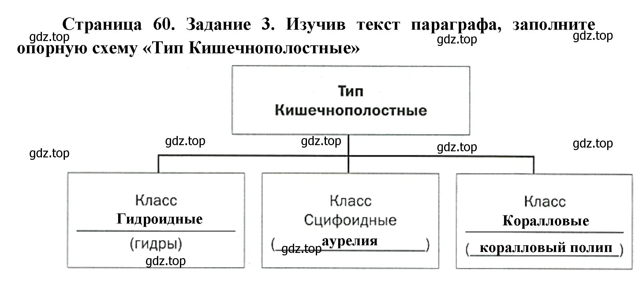 Решение номер 3 (страница 60) гдз по биологии 8 класс Суматохин, Пасечник, рабочая тетрадь