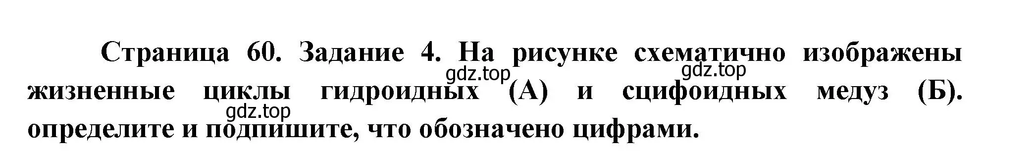 Решение номер 4 (страница 60) гдз по биологии 8 класс Суматохин, Пасечник, рабочая тетрадь