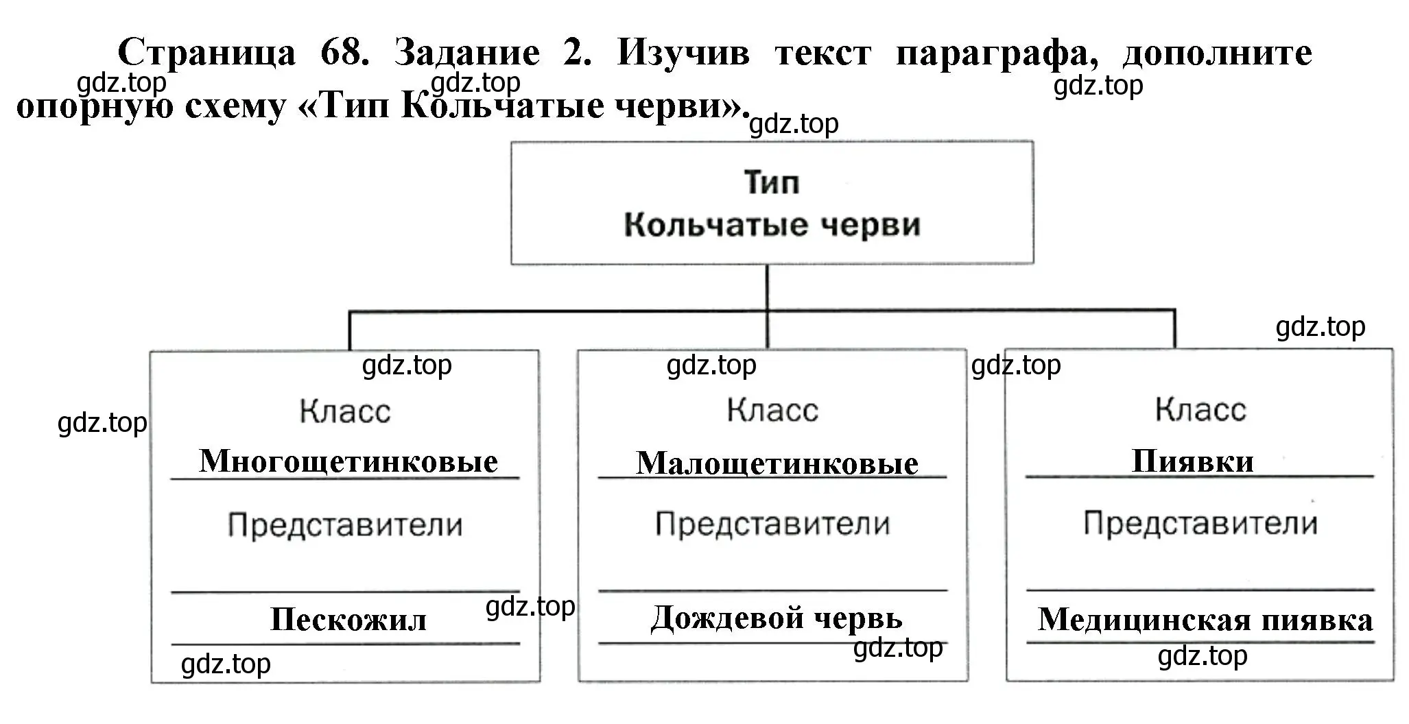 Решение номер 2 (страница 68) гдз по биологии 8 класс Суматохин, Пасечник, рабочая тетрадь