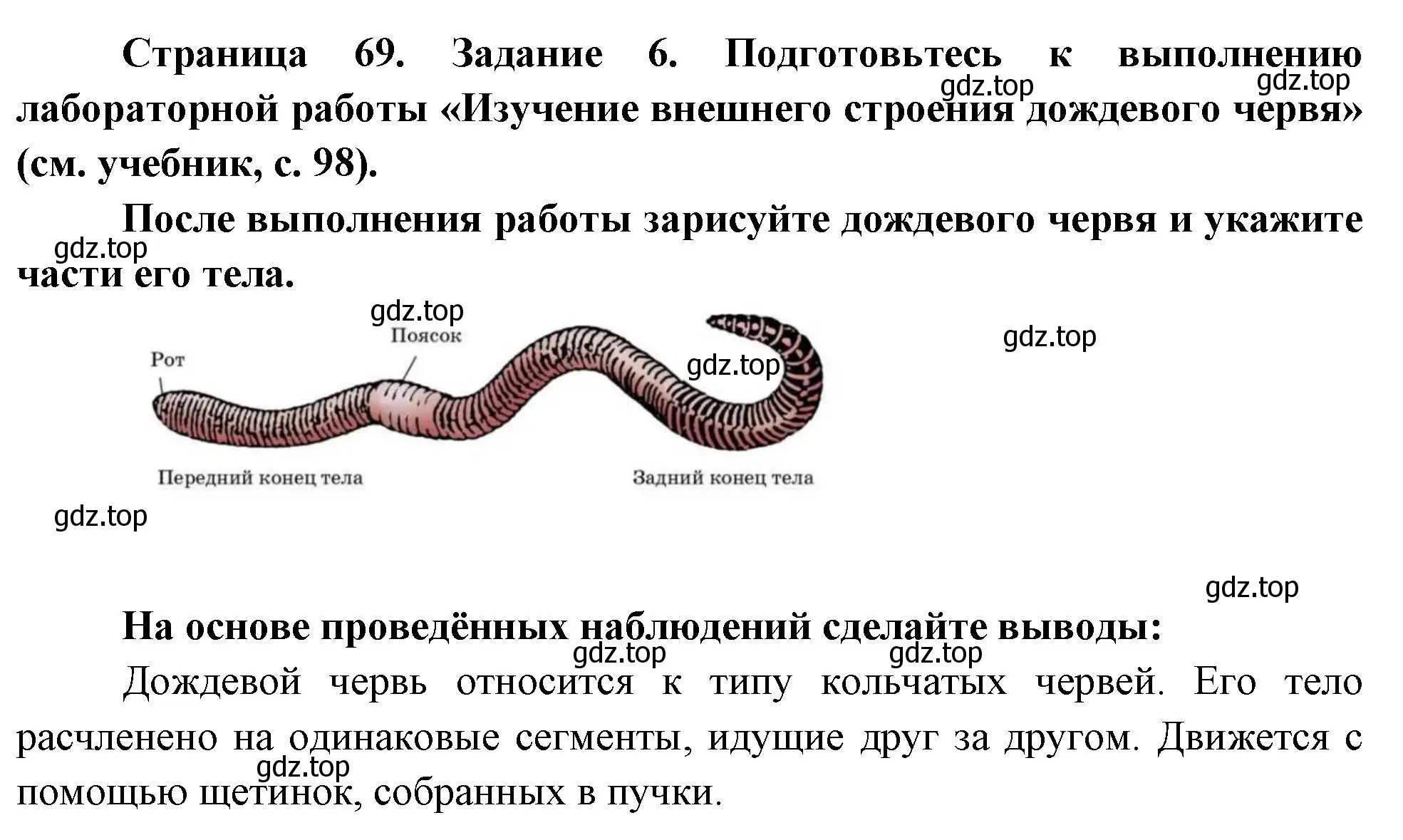 Решение номер 6 (страница 69) гдз по биологии 8 класс Суматохин, Пасечник, рабочая тетрадь