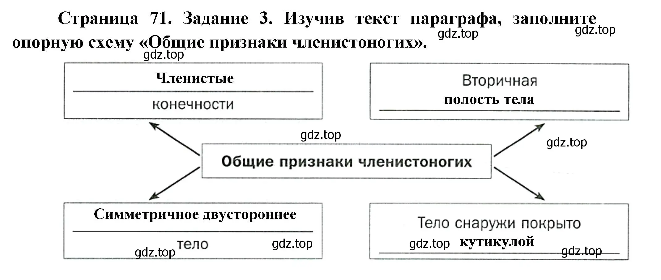 Решение номер 3 (страница 71) гдз по биологии 8 класс Суматохин, Пасечник, рабочая тетрадь